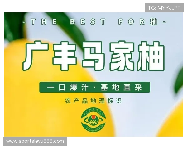 乐鱼体育官网在线入口保障每一次博彩安全，严防诈骗，守护您的资金安全与个人隐私