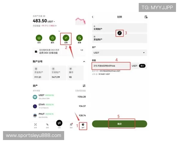 乐鱼网页版登录入口新版详细指南，帮助新手快速上手登录流程